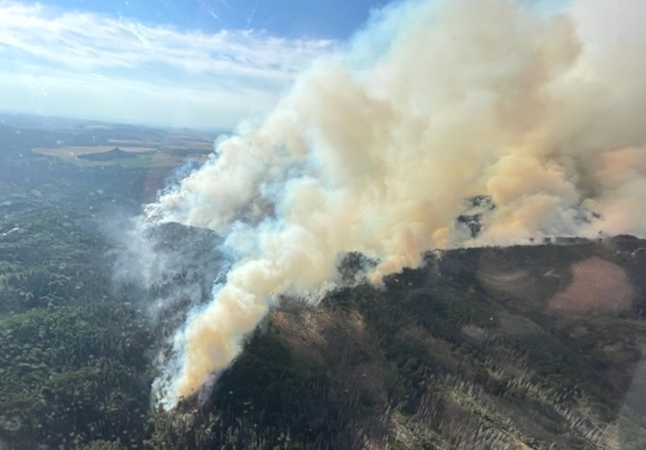 Waldbrand in der Hinteren Sächsischen Schweiz 