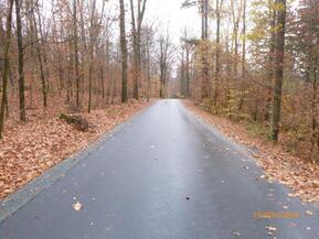 Straße und Bäume, herbstlich