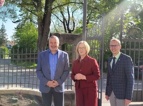 Menschen stehen vor einem Baum 