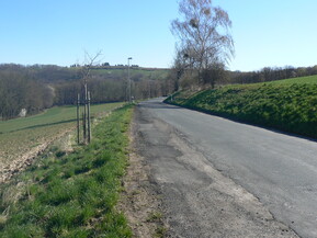 Foto von der Straße