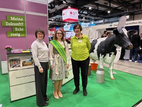 Foto des Messestandes