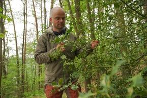 Person im Wald vor einer Stechpalme