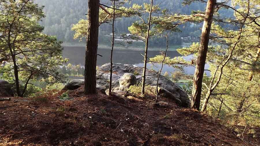 eyponierte Aussicht oberhalb Wehlens mit erkalteter Feuerstelle, Elbe im Hintergrund