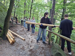 Personen arbeiten im Wald