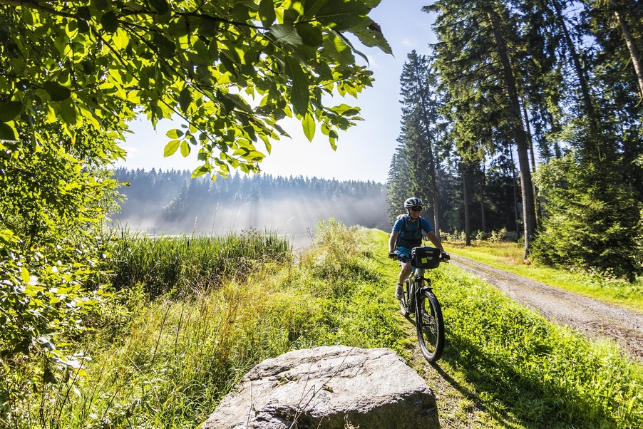 Fahrradfahrer auf Waldweg mit Sonnenschein