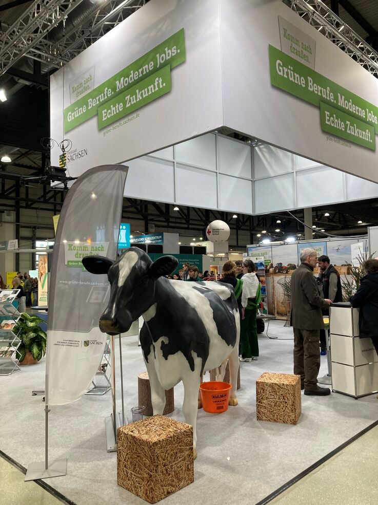 Messestand mit Kuhmodell