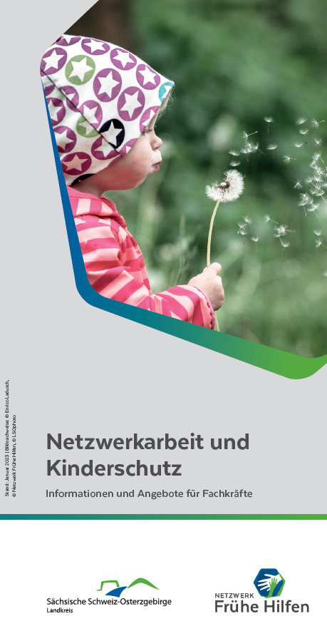 Cover des Flyers "Informationen & Angebote für Fachkräfte im Kinderschutz"