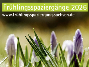 Plakat Frühlingsspaziergänge