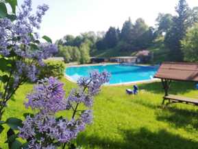 Blumen im Vordergrund, Freibad mit sonnengeschützter Bank und Pool im Hintergrund