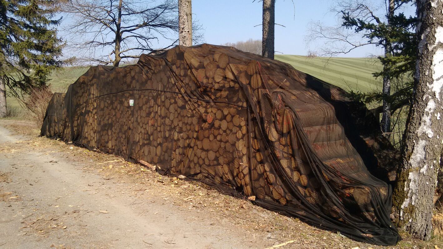 Insektennetz zum Schutz des Holzes vor Borkenkäfern