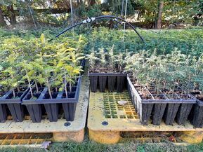 Ueberblick von Straeuchern