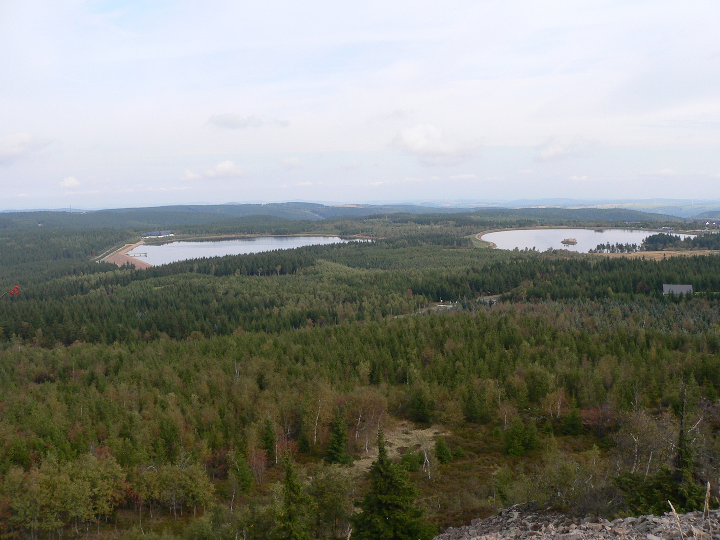 Wald im Trinkwasserschutzgebiet