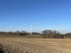 grünes Geld mit Bäumen im Hintergrund, bewölkt und einzelne Windenergieanlage am linken Rand