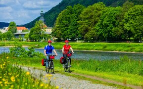 Fahrradfahrer auf dem Elberadweg