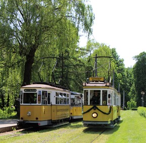zwei Bahnen der Kirnitzschtalbahn fahren entlang einer grünen Fläche mit Bäumen